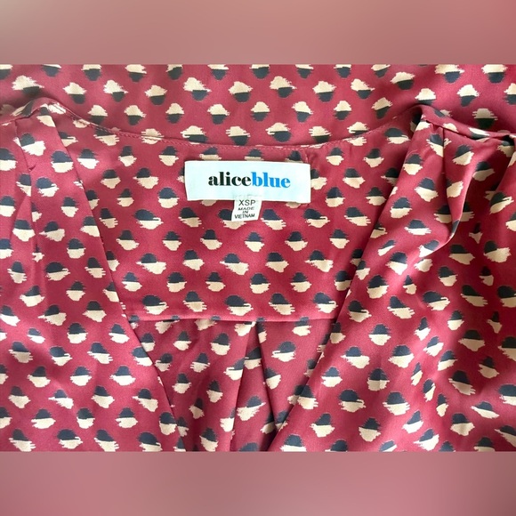 Alice Blue Burgundy Abstract Dot Print Button Front Blouse XSP - Picture 5 of 8